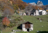 20101105_123702 Dasile autunnale.jpg